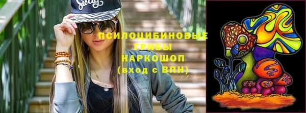 ГАЛЛЮЦИНОГЕННЫЕ ГРИБЫ Беломорск