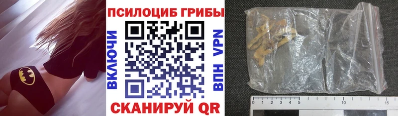купить  цена  Верхняя Пышма  Галлюциногенные грибы ЛСД 